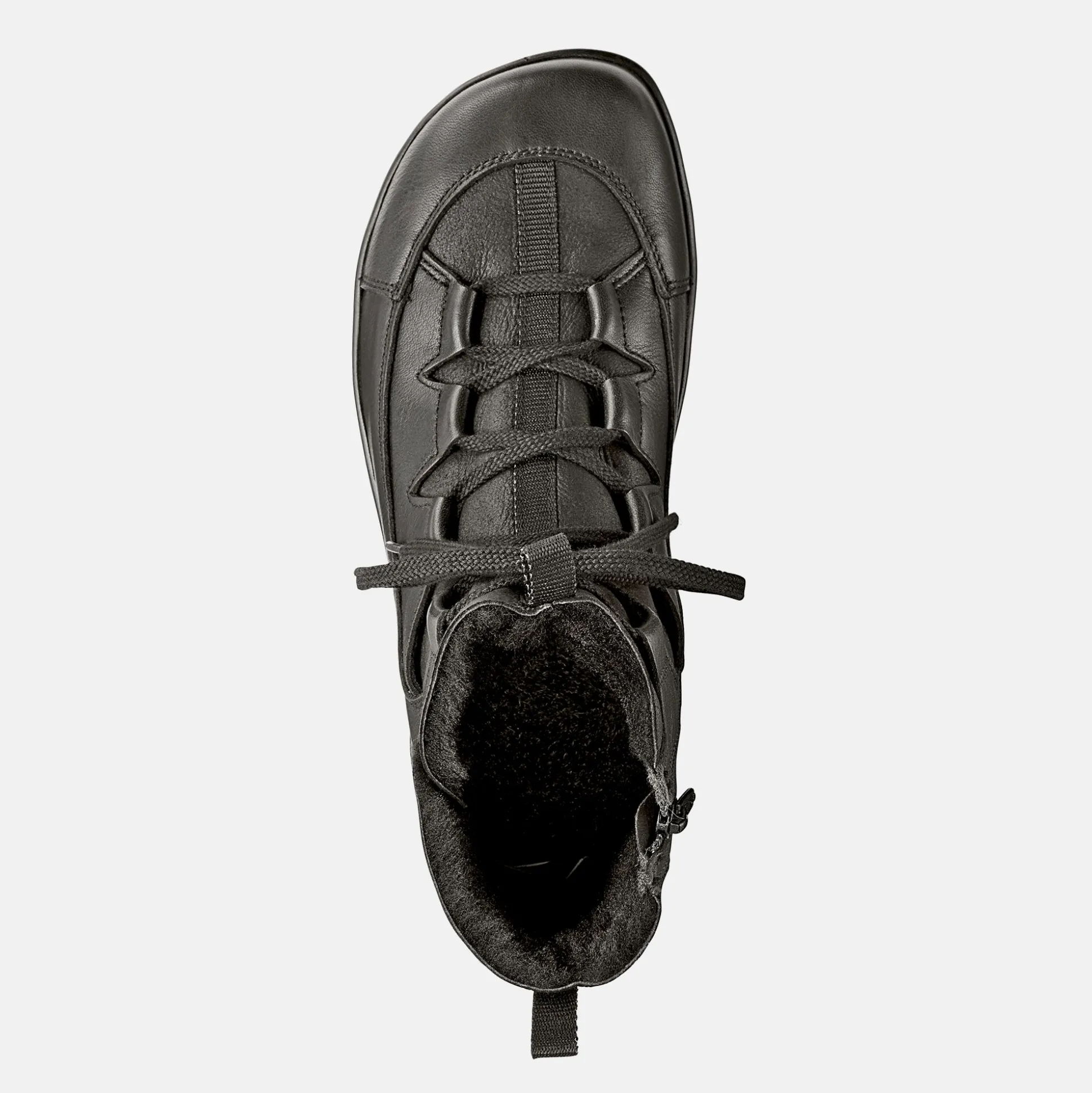 Paulina