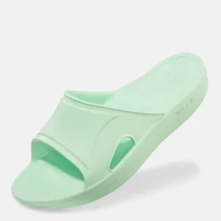 Telic Recharge