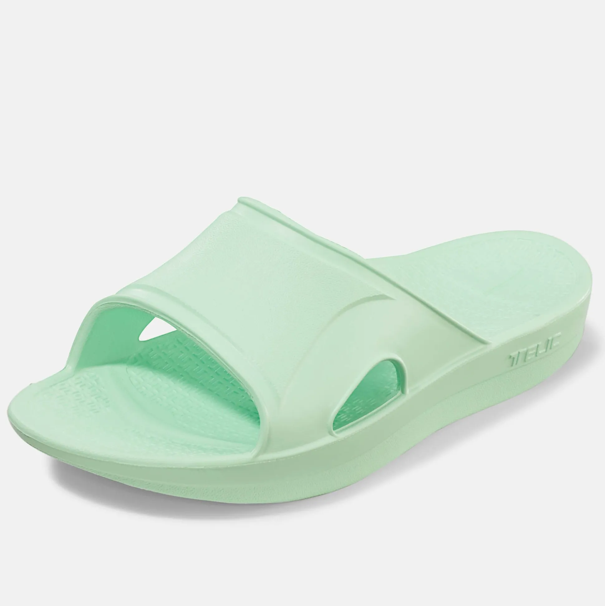 Telic Recharge